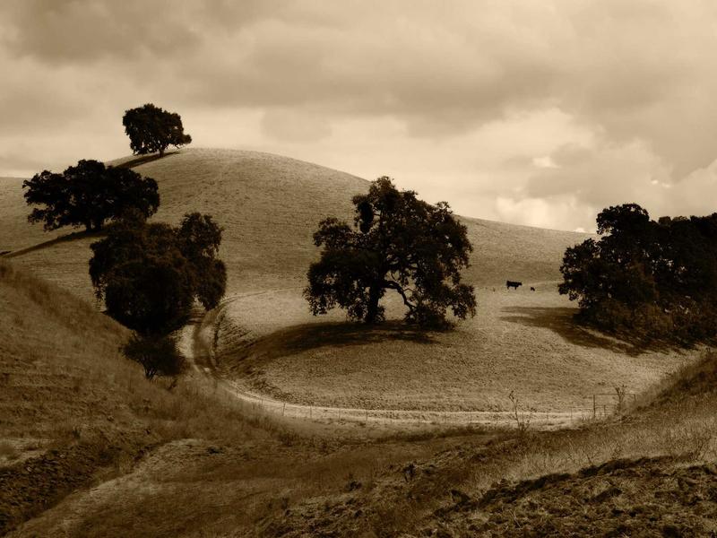 sudoku statistics screenshot 5