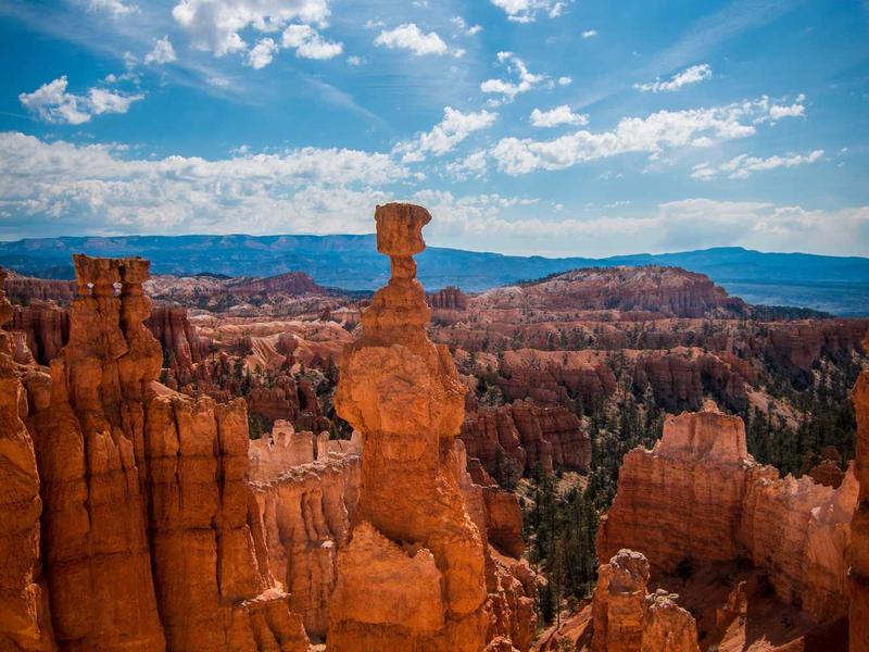 android screenshot 5