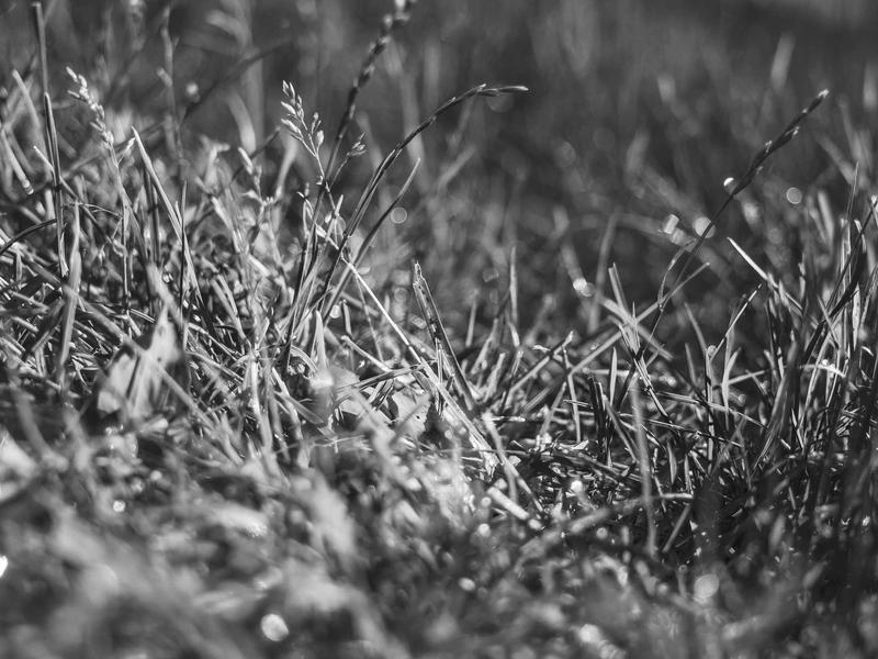 android screenshot 4